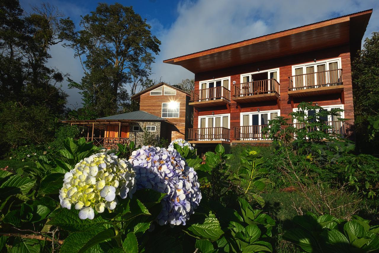 Hotel Bosque Verde Lodge Monteverde Camera foto