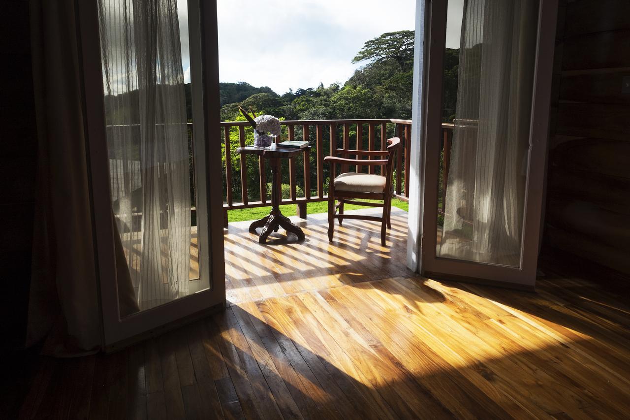 Hotel Bosque Verde Lodge Monteverde Esterno foto
