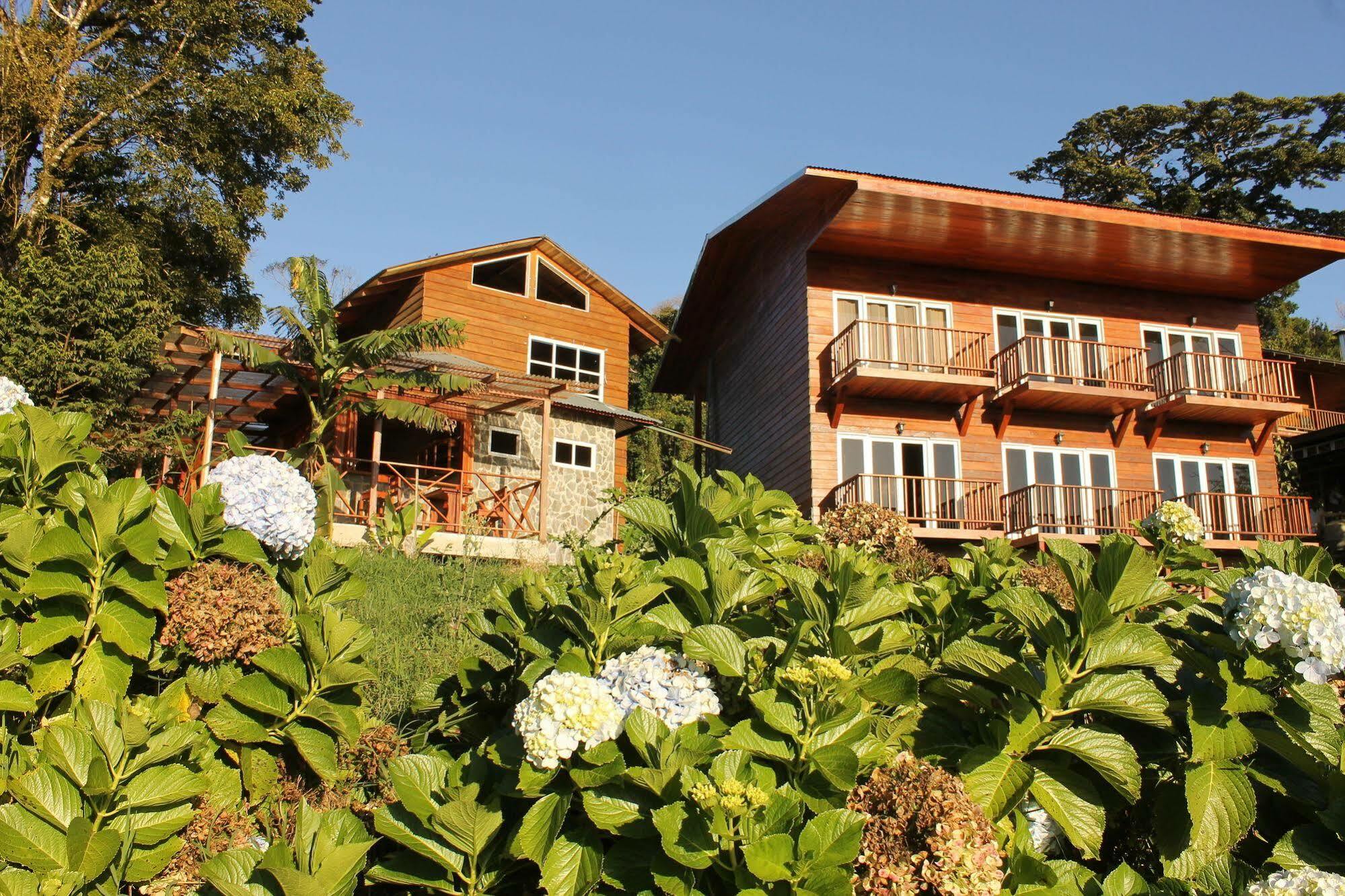 Hotel Bosque Verde Lodge Monteverde Esterno foto