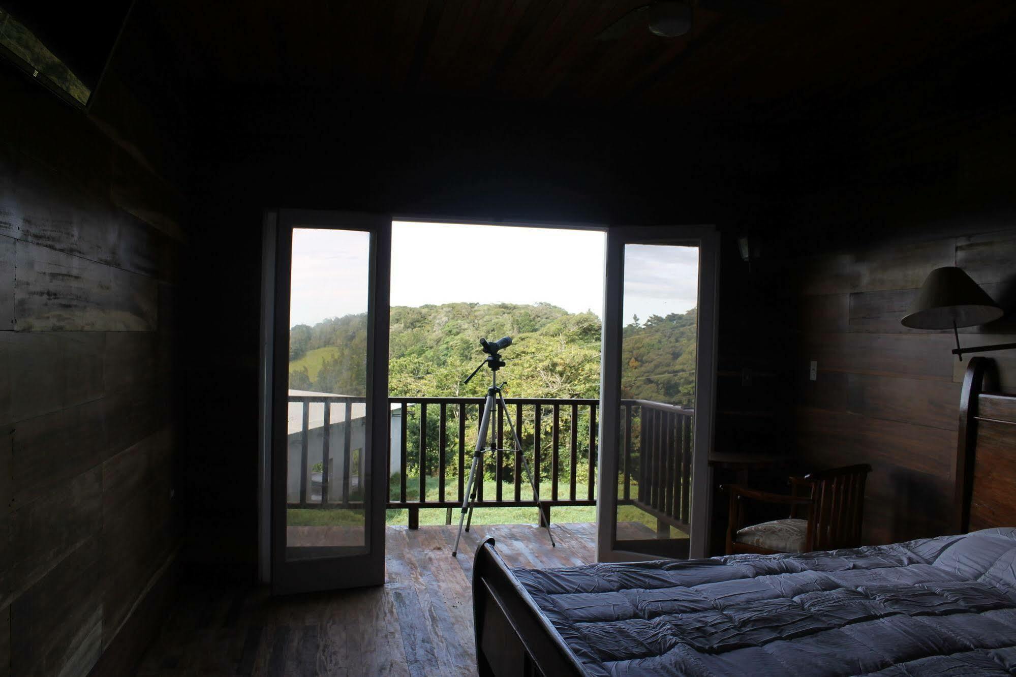 Hotel Bosque Verde Lodge Monteverde Esterno foto