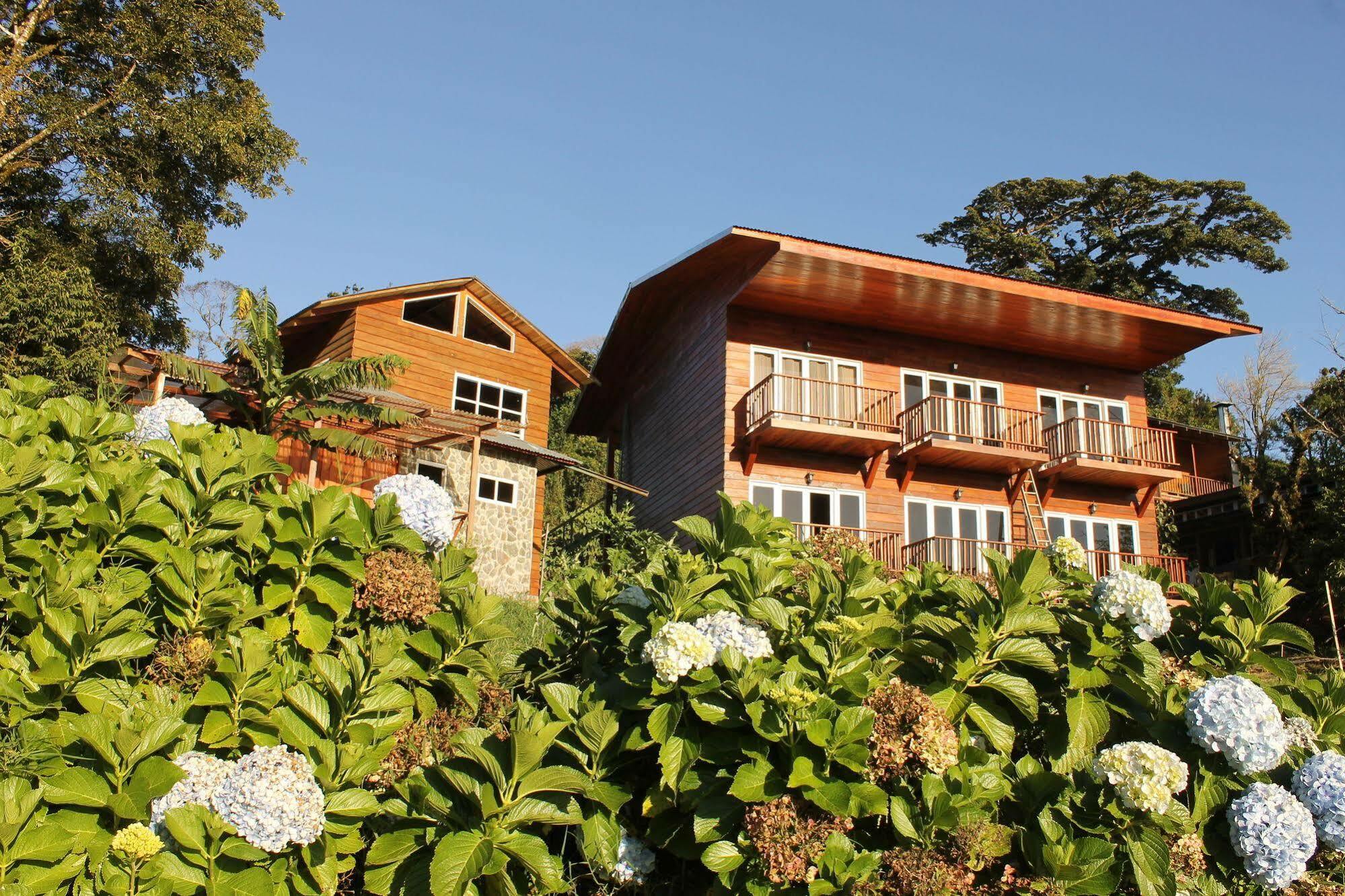Hotel Bosque Verde Lodge Monteverde Esterno foto