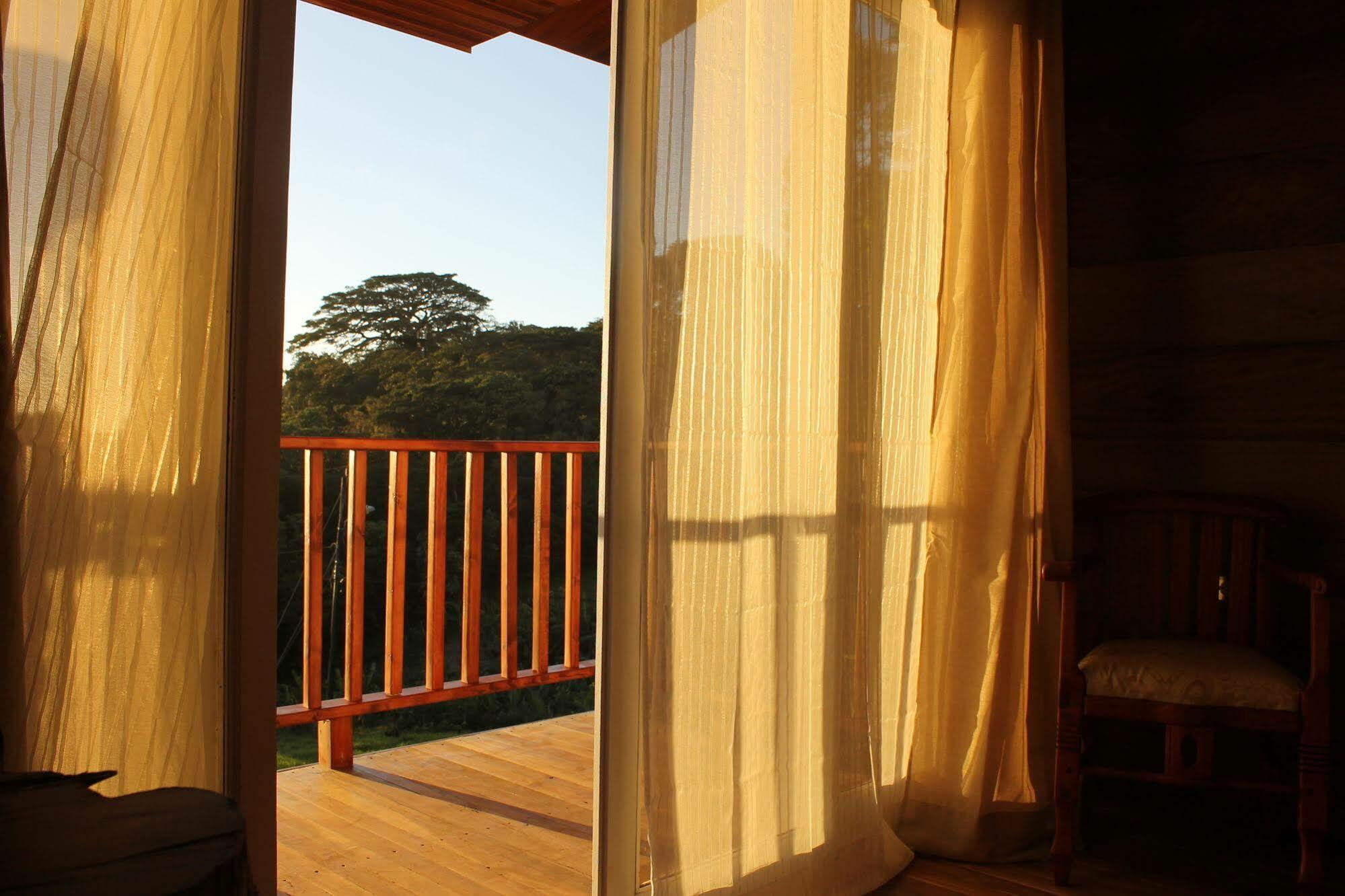 Hotel Bosque Verde Lodge Monteverde Esterno foto