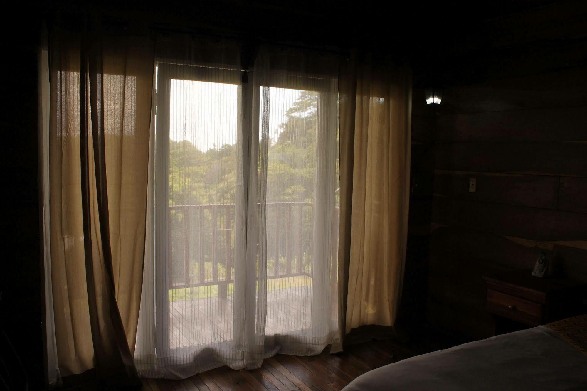 Hotel Bosque Verde Lodge Monteverde Esterno foto