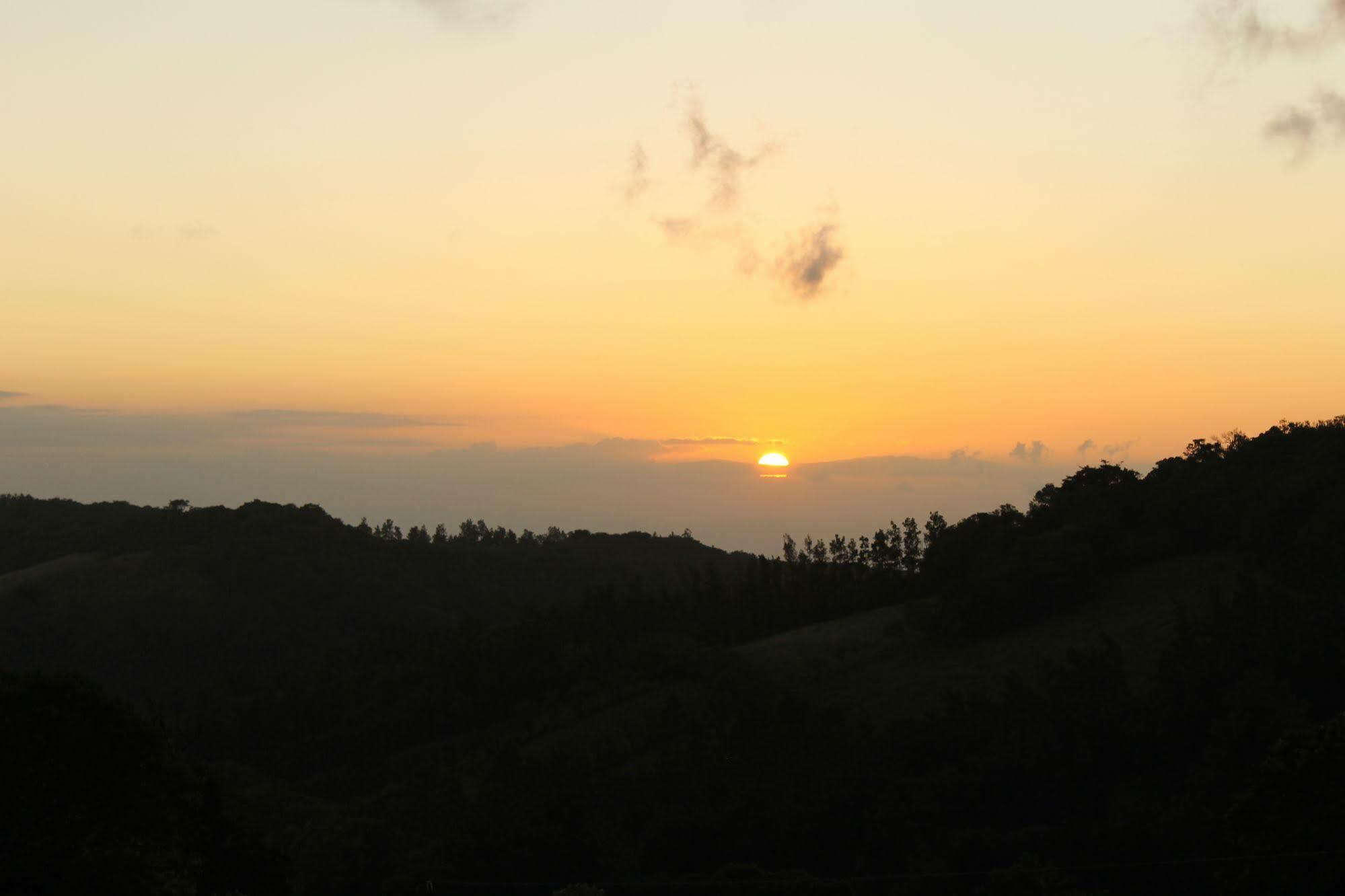 Hotel Bosque Verde Lodge Monteverde Esterno foto